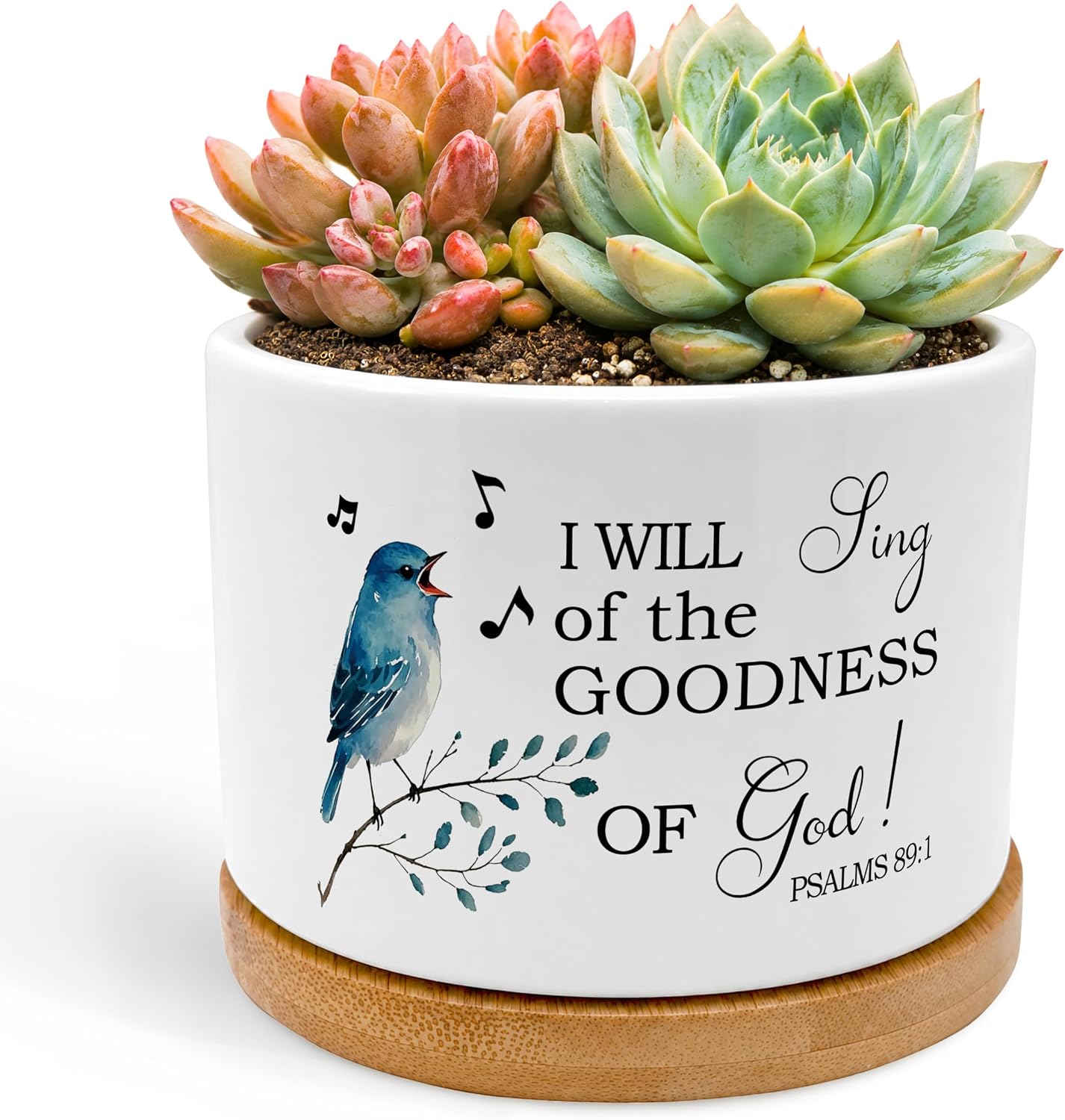 Bird and Verse Ceramic Planter