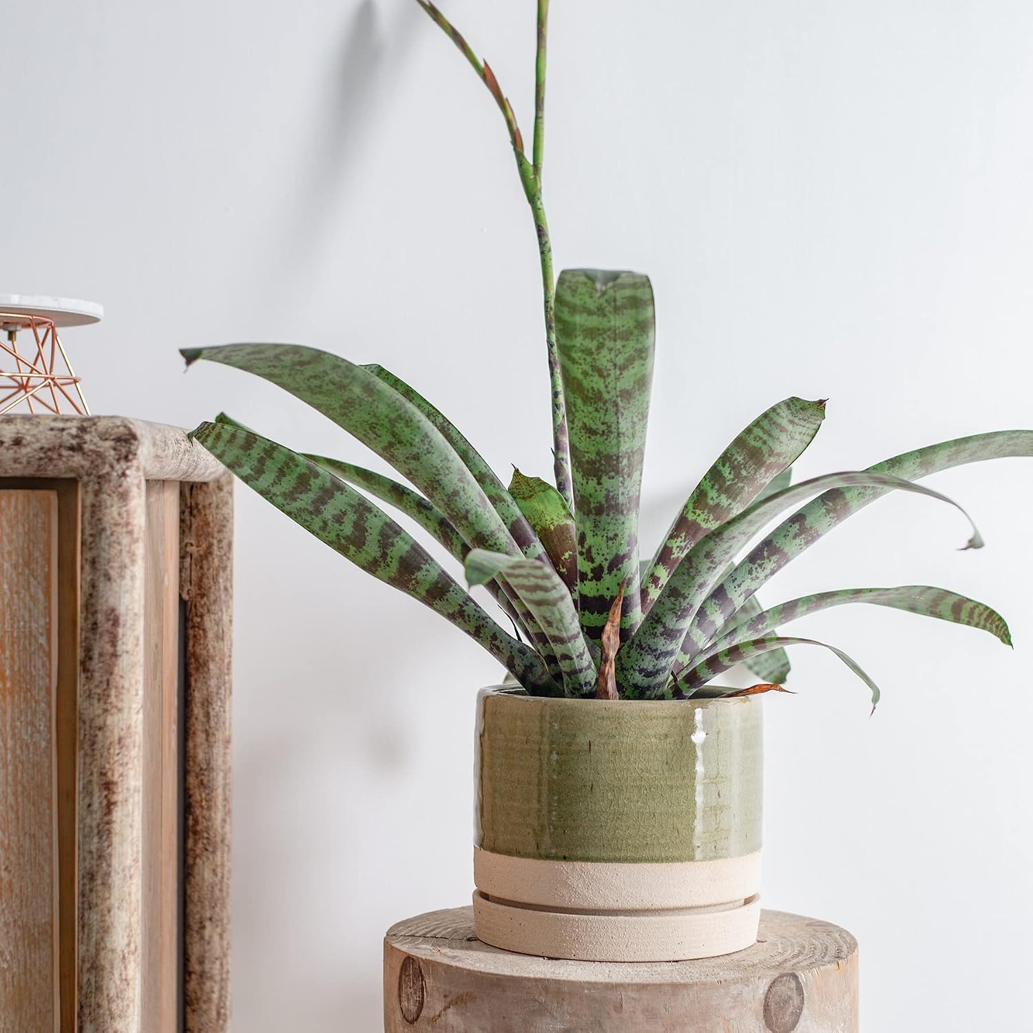 Cylinder Ceramic Planter with Saucer