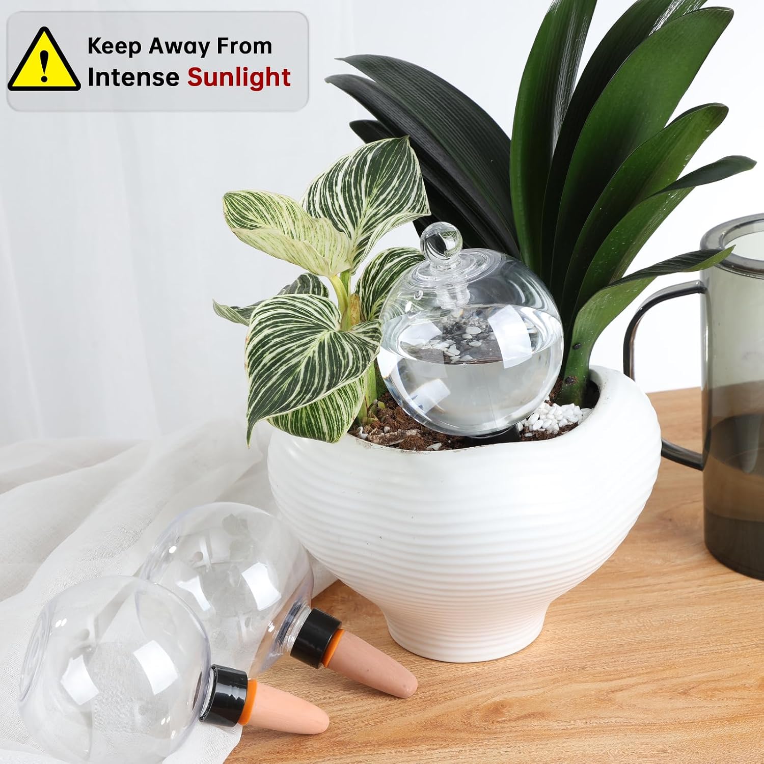 Four-Pack Self-Watering Globes