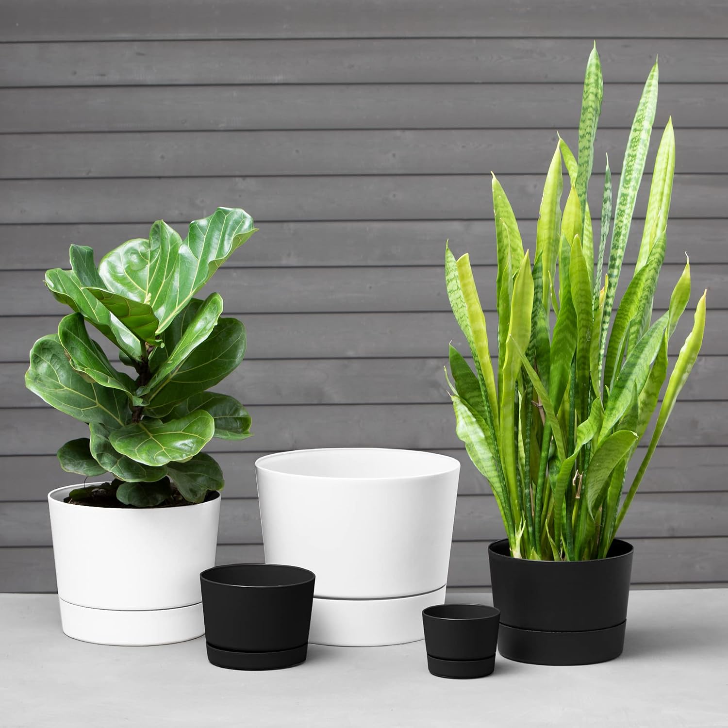 Matte White Cylinder Planter