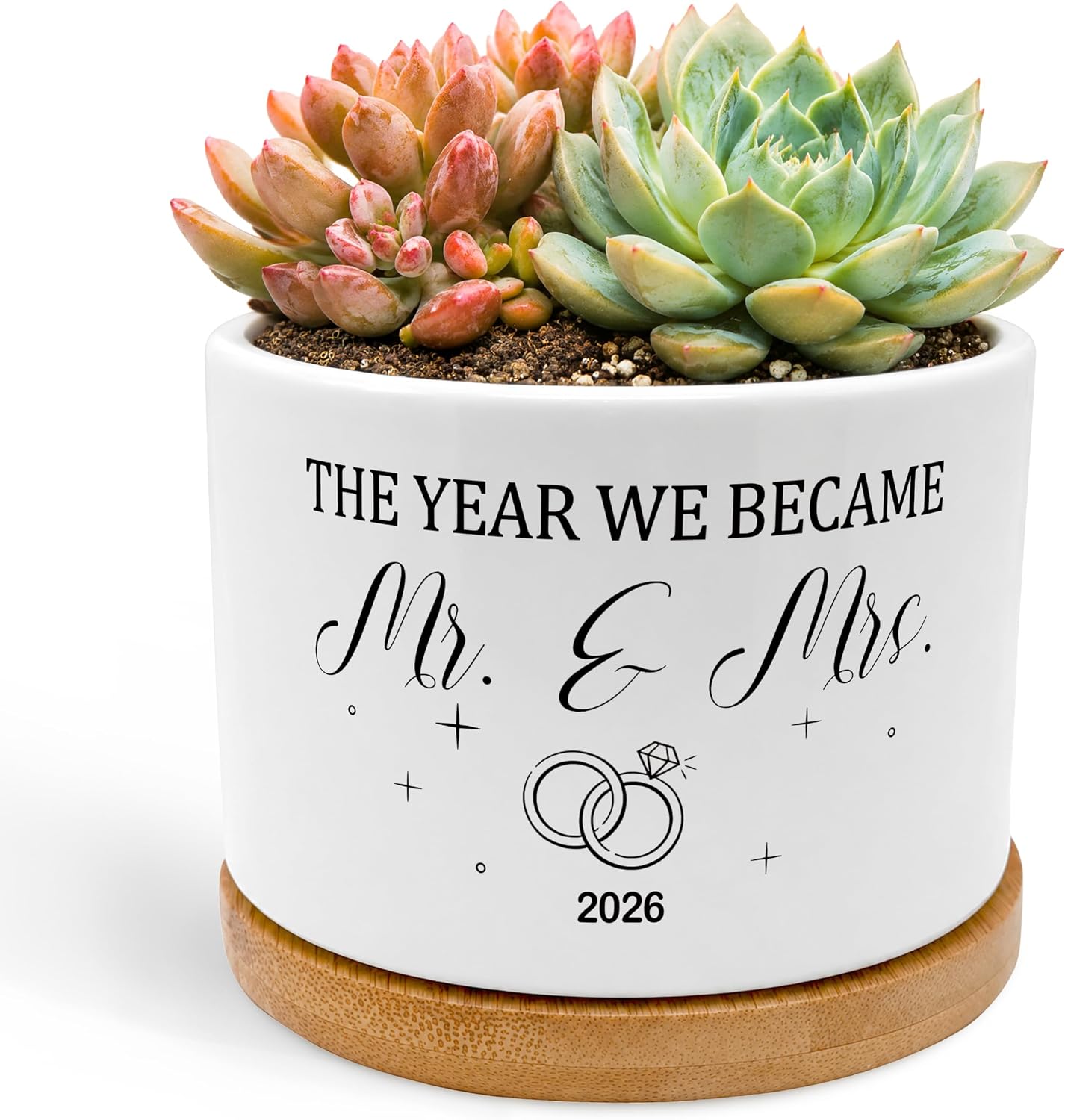 Pair of Ceramic Succulent Planters