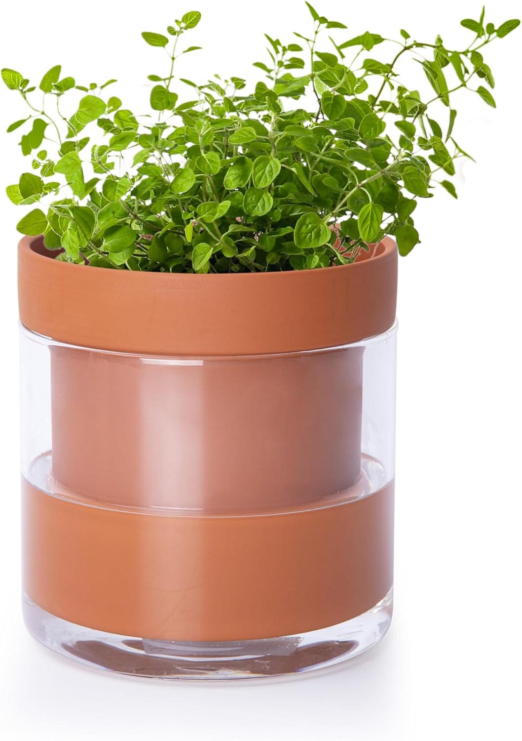 Terracotta Self-Watering Pot