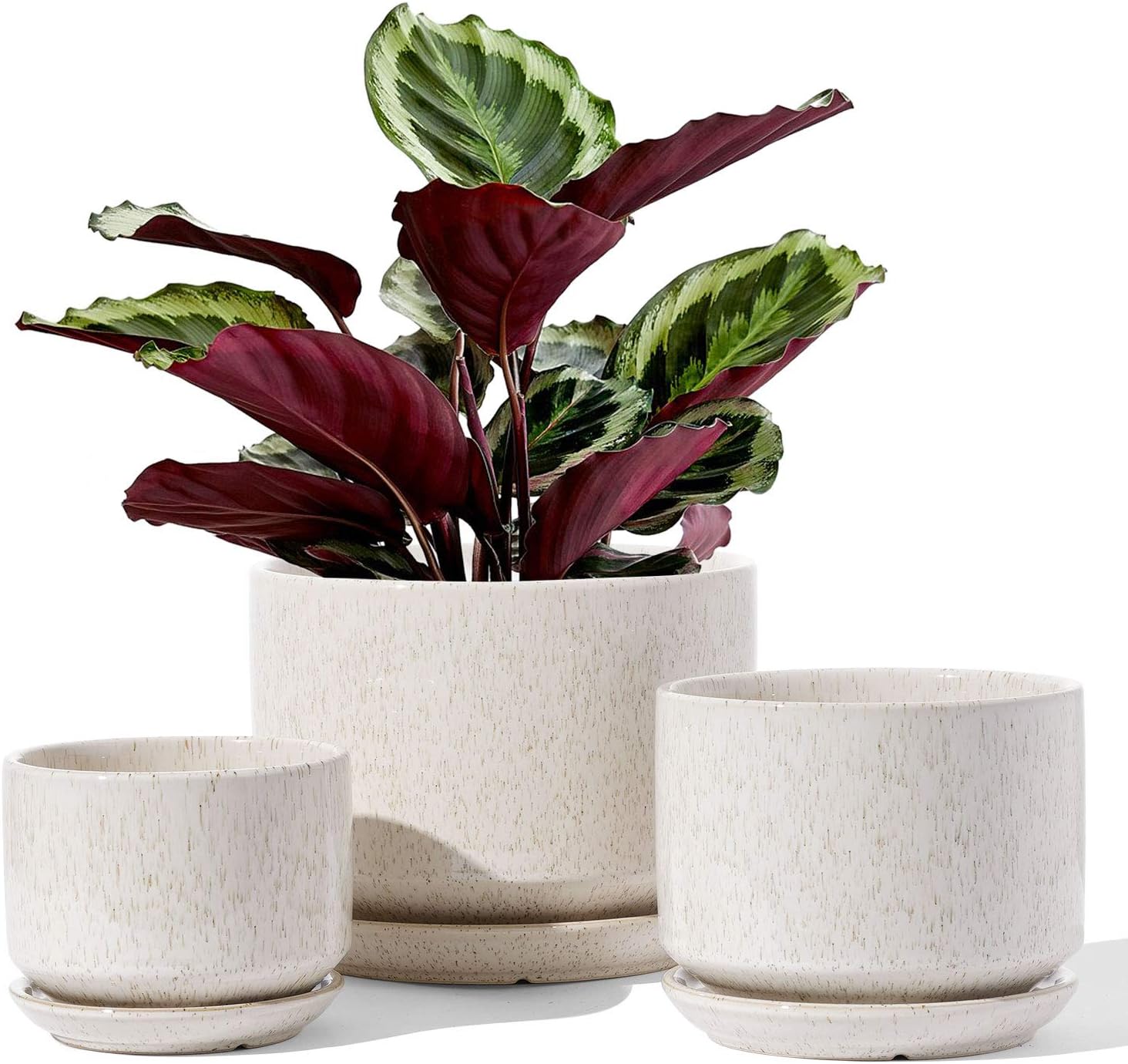 Three-Piece Beige Ceramic Planter Set