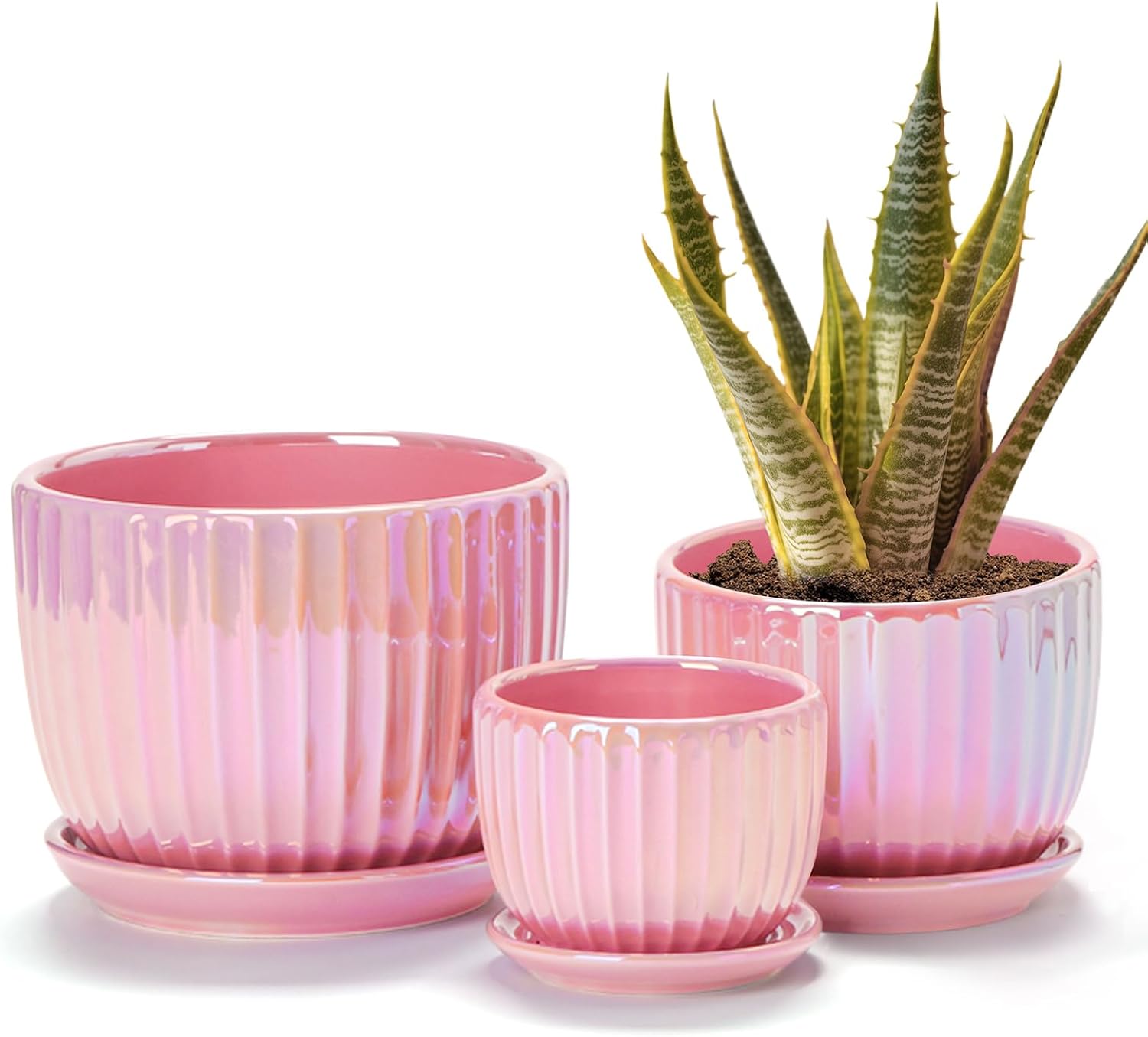 Three-Piece Pink Ceramic Planter Set