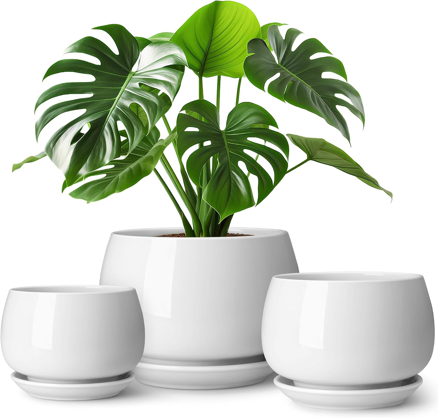 Three-Piece White Ceramic Planter Set