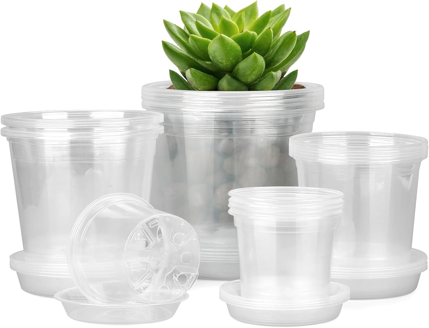 Twenty-Piece Clear Nursery Pot Set
