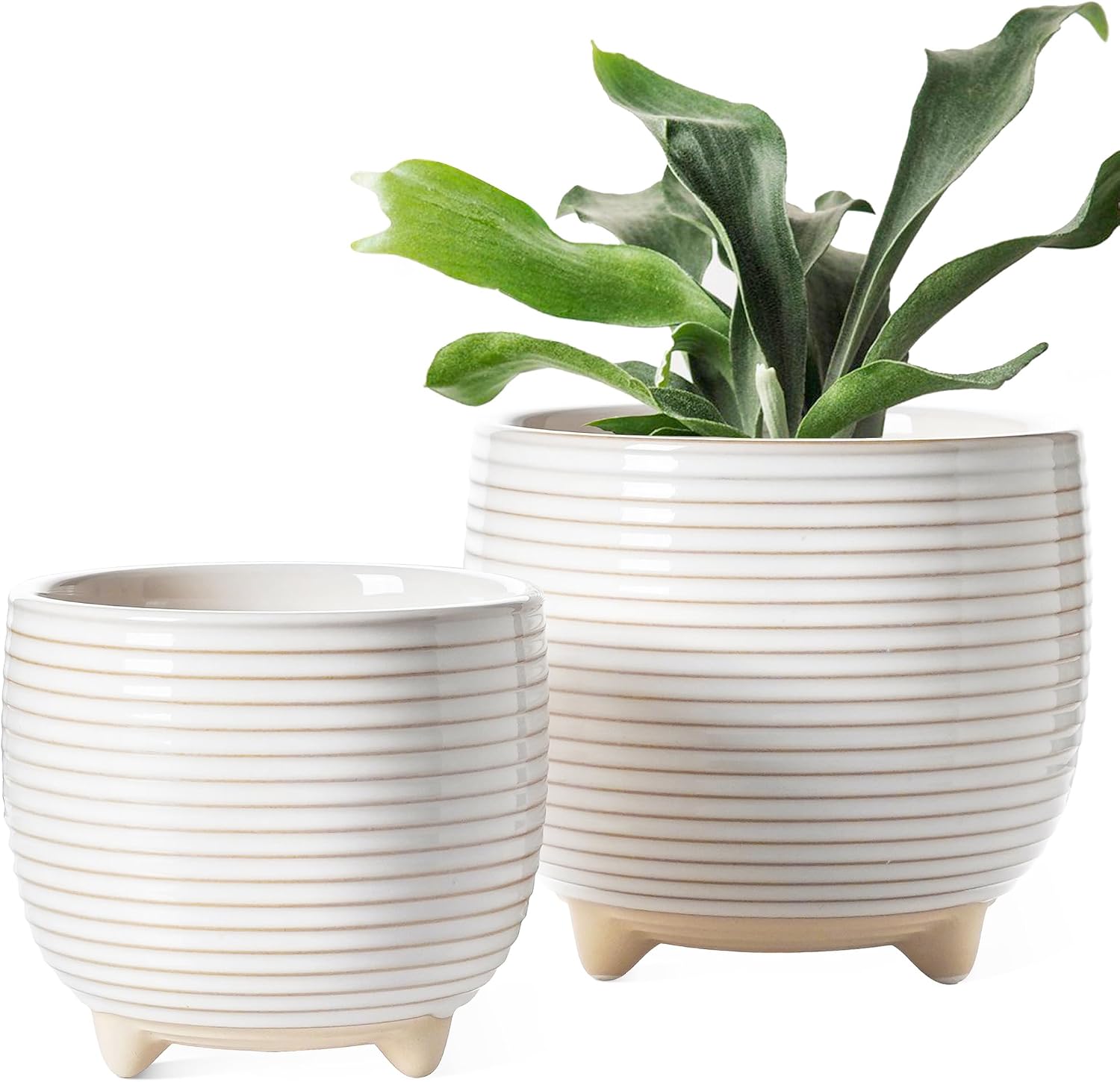 Two-Piece Footed Ceramic Planter Set